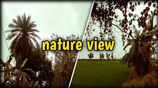 Village nature view 🌳🌾🏞️