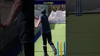 🌪️Leg-Spin, Googly & Flipper | Wrist-Spin Variations #shorts screenshot 5