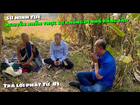 Việt Kiều Thái Tới Hỏi Sư Minh Tuệ Về Chiếc Răng Sâu Và Những Câu Hỏi Đáng Suy Ngẫm #52