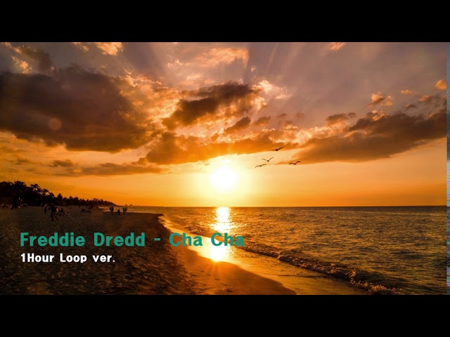 Freddie Dredd - Cha Cha | 1HOUR Loop ver.