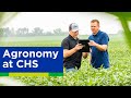 What is chs  agronomy