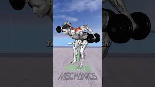 Transform Your Back Using Only Dumbbells: Build Width and Strength!"
