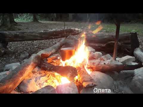 Маршрут #8 