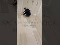 video achi Lage to channel ko subscribe jarur kare #flooring #flooringsolutions