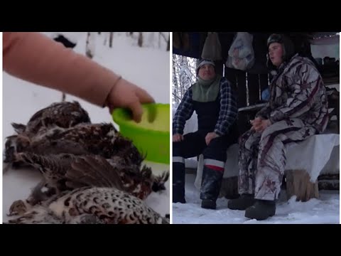 Живем в избе. Добыл рябчиков. Вкусная пища.