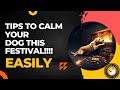 TIPS TO CALM YOUR DOG DURING FESTIVAL!!!!! #viralvideo #doglover