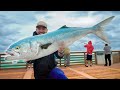 Ultimate pier trash fish catch clean  cook massive pier bluefish