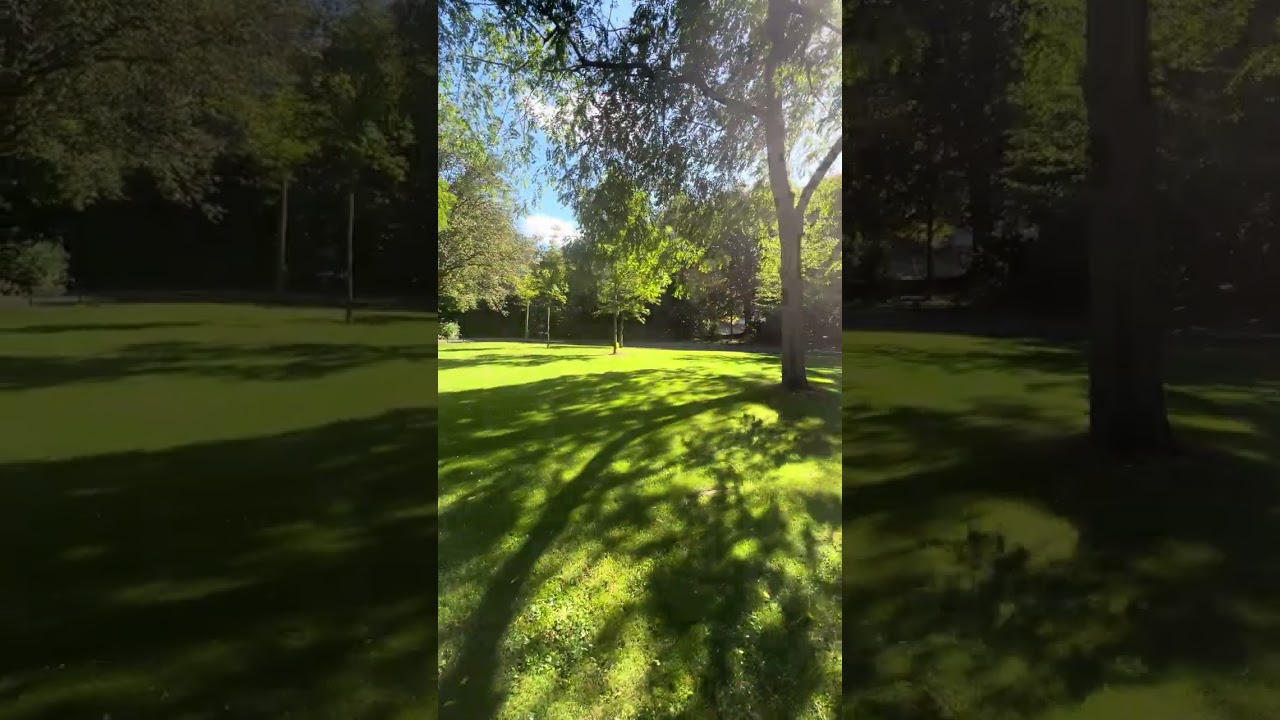 ☀️ Sunny Day in a Dublin Park | Relaxing City Escape 🇮🇪✨ 