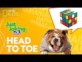 Funny Riddles and Jokes