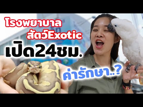 โรงพยาบาลสัตว์ยูเว็ท&เอ็กโซติก เปิด 24ชั่วโมง