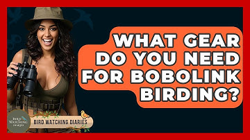 What Gear Do You Need For Bobolink Birding? - Bird Watching Diaries