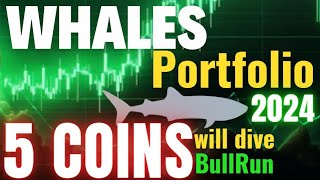 How to Find out Crypto Whales || Crypto Market Whales || Whales Crypto Portfolio 2024