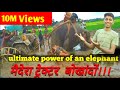 Ultimate power of an elephant..नांथानाय ट्रेक्टरखौ मैदेरा  बोखांदों।।।।