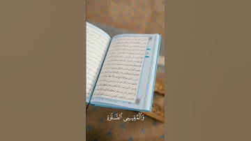 ماهر المعيقلي|سورة الحج|#قرآن