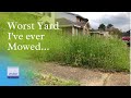 Before and After: Tall Grass & Mowing Overgrown Lawn - Wright Stander B 52”