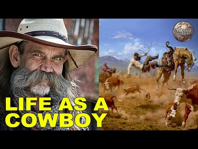 What It Was Like to Be a Wild West Cowboy class=