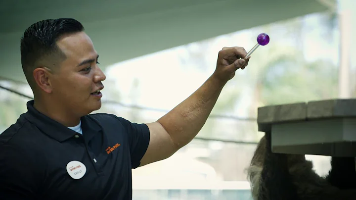 AZA Hero - Marcus J.