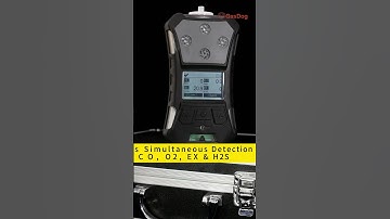 Portable Multi Gas Detector for CO, H2S, O2, EX in PPM/%Vol/%LEL
