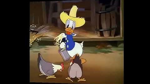 DONALD DUCK ringtone ( free download for pc android and ios)