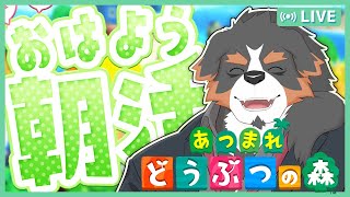 【朝活】ME：Iの曲めっちゃいいやん！初めからやるあつまれどうぶつの森！11日目【Vtuber 雑談 ラジオ】