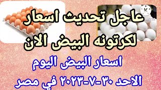 سعر البيض اسعار البيض اليوم الاحد ٣٠-٧-٢٠٢٣ في الشركات في مصر