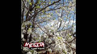 Mesita - Cherry Blossoms (full album)