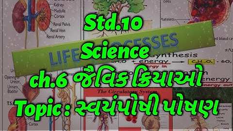 Std.10 Science ch.6 જૈવિક ક્રિયાઓ Lecture - 4 સ્વયંપોષી પોષણ