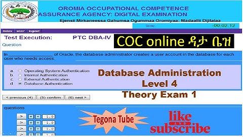Database Administration Level IV (4) Theory Exam 1