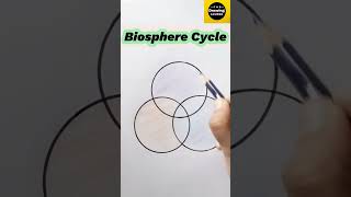 How to draw Biosphere Cycle diagram easily || @TheDrawingAcumen