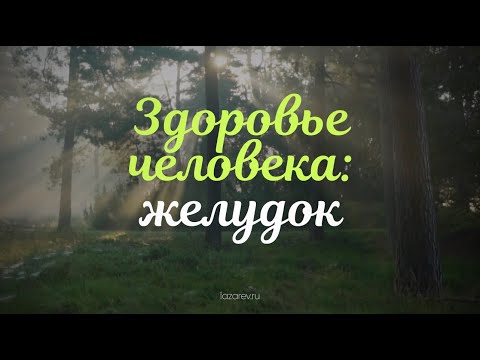 Video: Interessante feite uit die lewe van Sergei Lazarev
