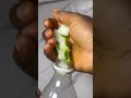 Man power drink #shorts #diy