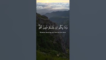 و ما بكم من نعمة فمن الله ثم إذا مسكم الضر فإليه تجأرون || القارئ: عبد الرحمن مسعد