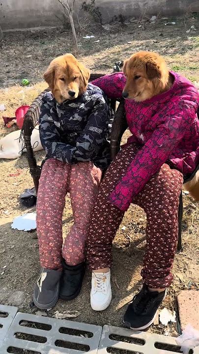 #funny #villagerlifestyle #videochannel #explore #food #laugher #vlogchannel #travel #comedy #viral