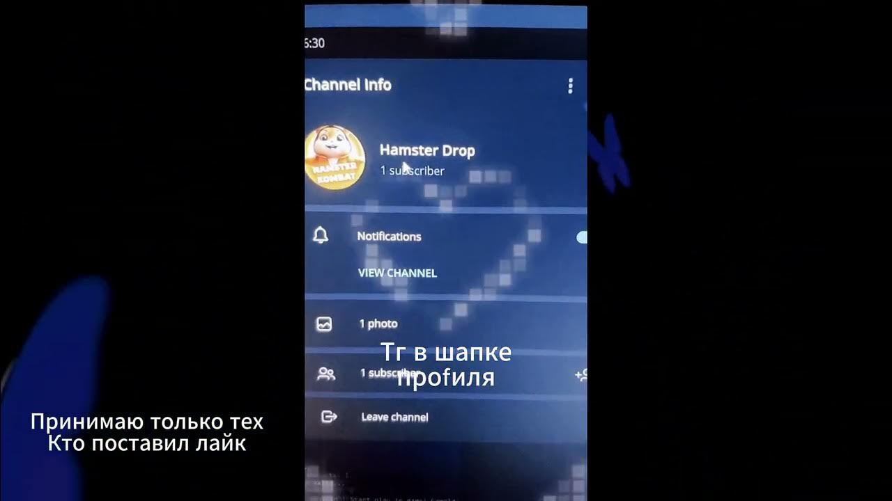 Достижение читерить плохо hamster. Достижение читерить плохо hamster