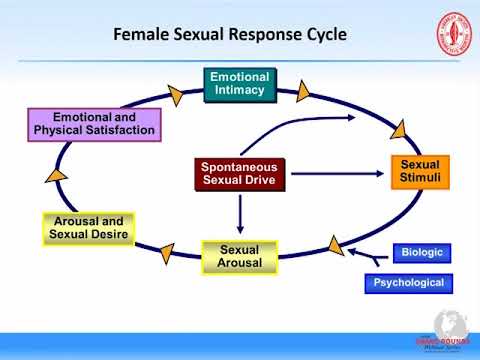 Grand Rounds- Treating HSDD What’s on the Bench and What’s on the Bedside