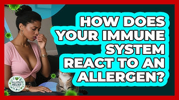 How Does Your Immune System React To An Allergen? - Allergy Relief Guide