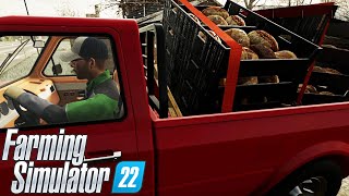 FARMING SIMULATOR 22 ELM CREEK #12 - PODDY CI AIUTA A VENDERE I PRODOTTI - GAMEPLAY ITA