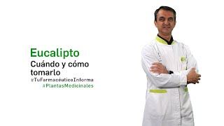 Eucalipto, cuándo y cómo tomarlo - Tu Farmacéutico Informa #PlantasMedicinales