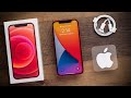iPhone 12 Unboxing and Initial Impressions! The New Standard?!