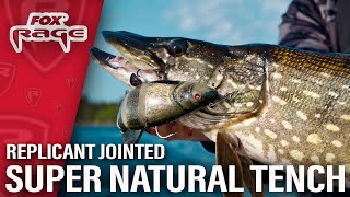 NEW FOX RAGE REPLICANT JOINTED SUPER NATURAL TENCH