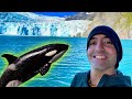 Seward Alaska Day Trip: Best Breakfast &amp; Wildlife Glacier Tour!