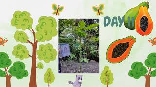 Celebrity MY PERFORMANCE TASK IN SCIENCE & AP       FIRST QUARTER (PAPAYA) Wealth