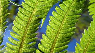 Abraham Hicks ~ Unemployed and deep in debt   how to tell a different story