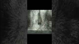 Magnetic field #vigyanrecharge