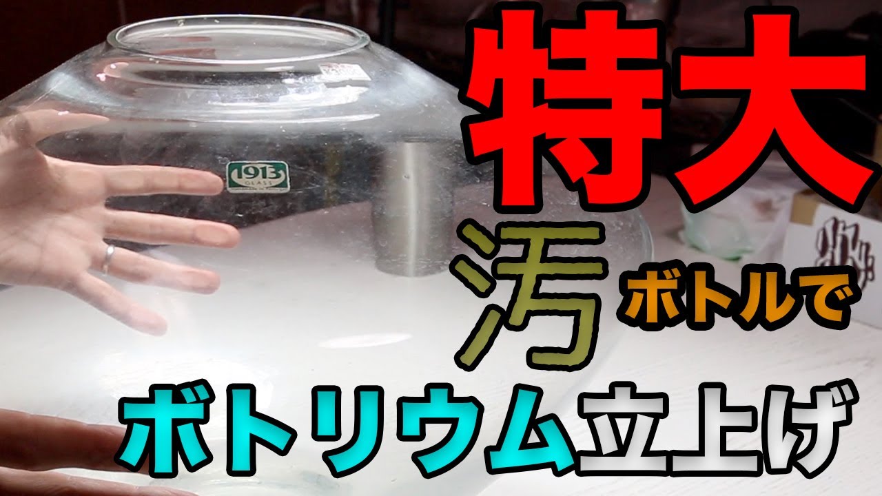 ボトリウム 動画 特大 汚ボトルで ボトルアクアリウム 立上げ動画 第一弾 清掃編 Youtube