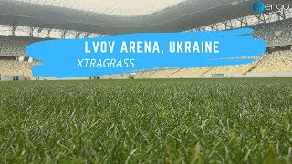 XtraGrass installation "Lvov arena", Ukraine