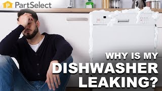 Why Is My Dishwasher Leaking? | PartSelect.com