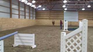 VID00017