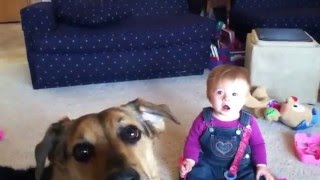 Watch this baby go crazy when dog eats  the soap bubbles, funny- Watch-it!!