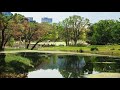 Environmental Sounds | Kitanomaru Park